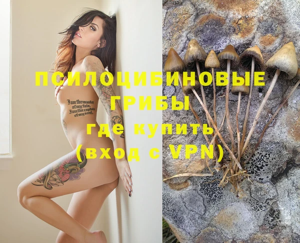 метамфетамин Алексин