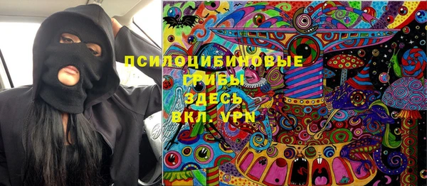 дурь Алзамай
