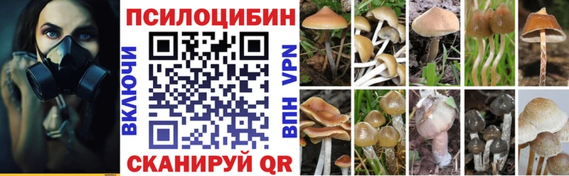 купить   Зеленокумск  Галлюциногенные грибы мицелий 